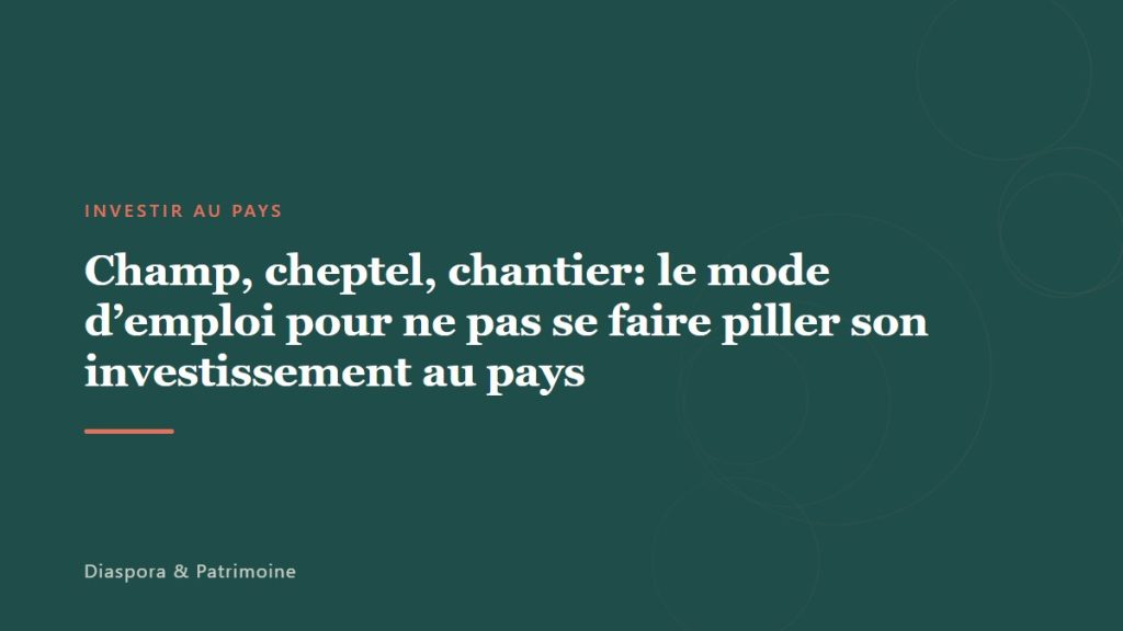 Champ, cheptel, chantier: le mode d’emploi pour ne pas se faire piller son investissement au pays