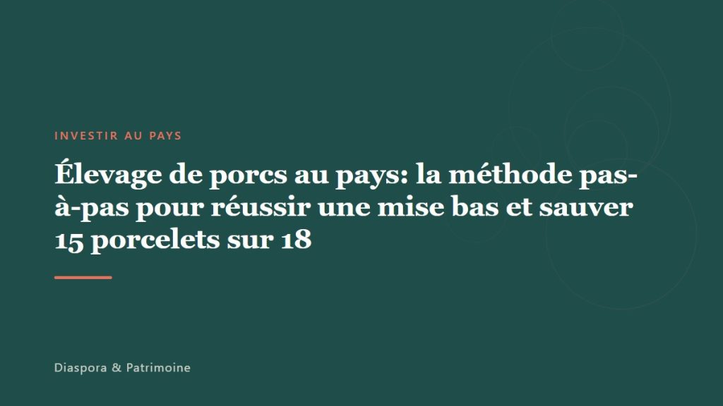 Élevage de porcs au pays: la méthode pas-à-pas pour réussir une mise bas et sauver 15 porcelets sur 18