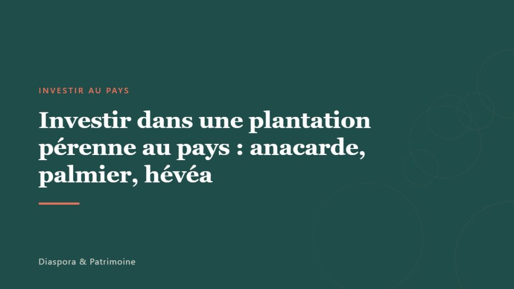 Investir dans une plantation pérenne au pays : anacarde, palmier, hévéa