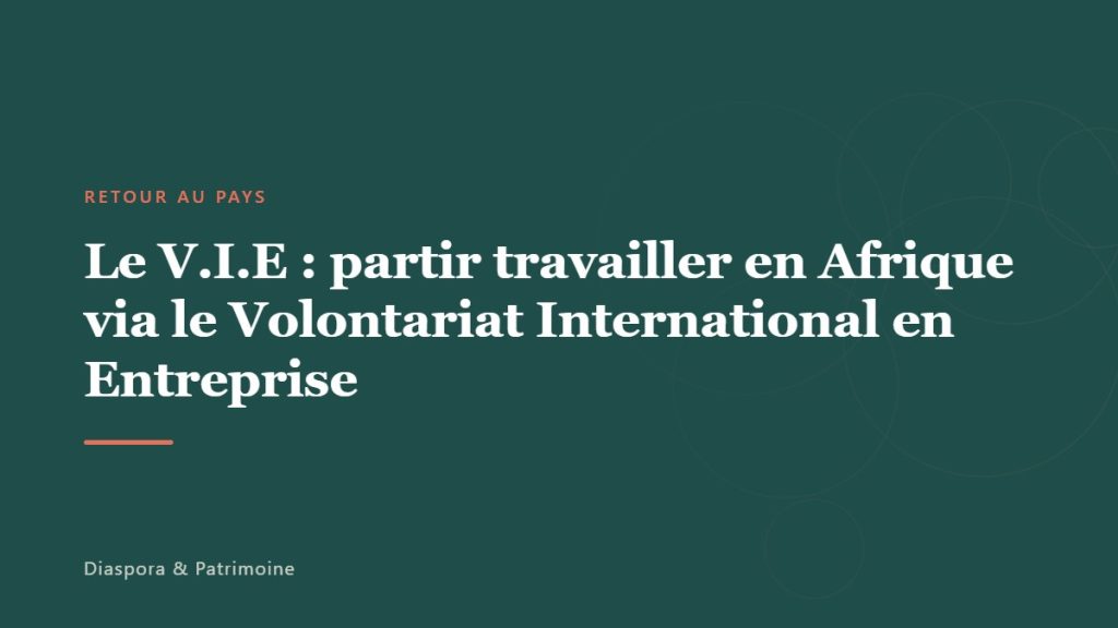 Le V.I.E : partir travailler en Afrique via le Volontariat International en Entreprise